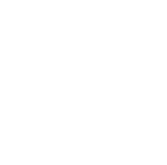 Skeptic role icon