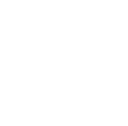 Smoker role icon