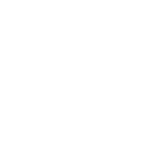 Travel Agent role icon