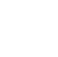 Vigilante role icon