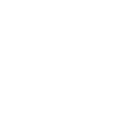 Wannabe role icon