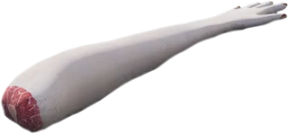 Arm