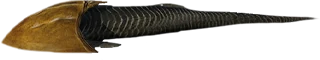 Cephalaspis