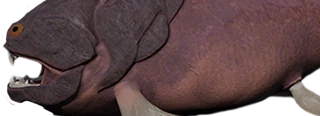Dunkleosteus