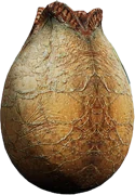 Egg