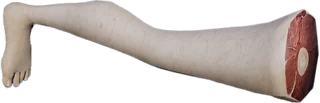 Leg