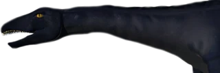 Lochness Monster