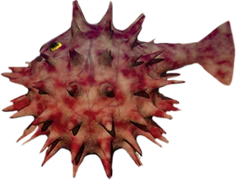 Puffer