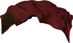 Red Towel