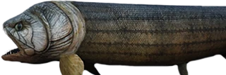 Xiphactinus