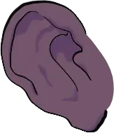 Ears · reference 02