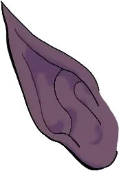 Ears · reference 03