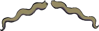 Facial hair · reference 07