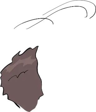 Hair · reference 04