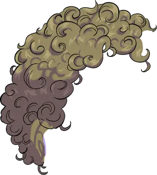 Hair · reference 06