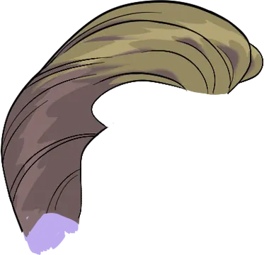 Hair · reference 10