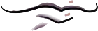 Mouth · reference 03