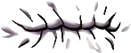 Mouth · reference 11