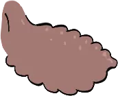 Nose · reference 12