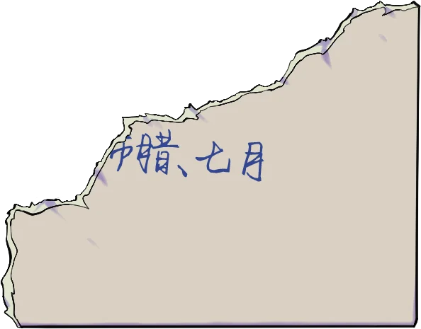帕特里克的教程照片:背面