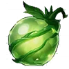 Purification Seed