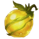 Source Seed
