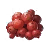 Spineberry