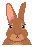Mr Bunny game icon