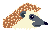 Puffin game icon