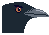 Eliza game icon