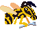 Sara the Snatcher game icon