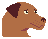 Brother game icon