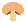 Shiitake game icon