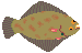 Flatfish game icon