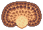 Dryad's Saddle game icon