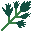 Parsley game icon