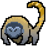 Goldtail Monkey