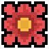 Wang's Daisy