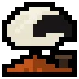 Rooftop White Sheep