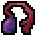 Venom Gland