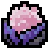Demon Fruit Flesh