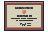 Appraisal Board Junior Certificate item icon