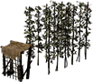 Chmelnice