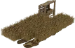Obilné pole