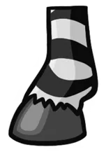 Zebří kopyto