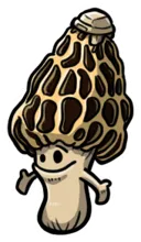 Morální podpora