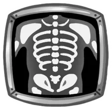 X-Ray Shot