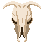 Cow skull