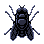 Lead fly
