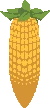 Corn Pop